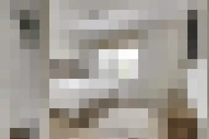 Dille 3 Heerhugowaard thumbnail 30