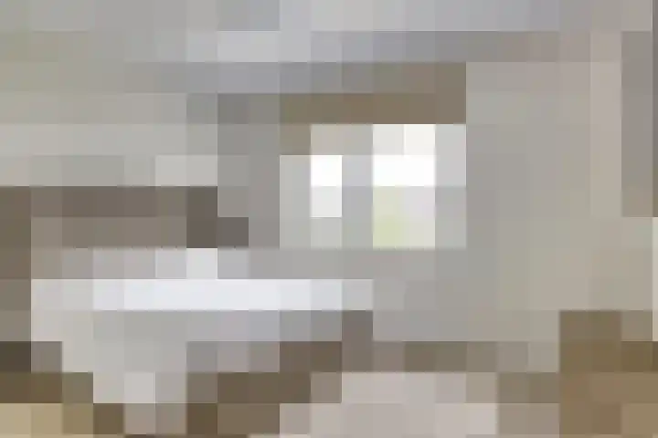 Dille 3 Heerhugowaard thumbnail 31