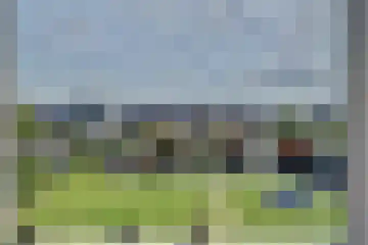 Dille 3 Heerhugowaard thumbnail 32