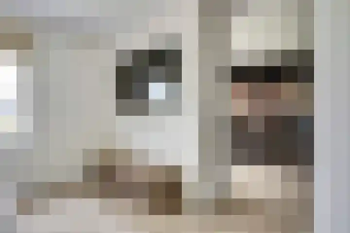 Dille 3 Heerhugowaard thumbnail 33