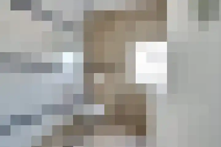 Dille 3 Heerhugowaard thumbnail 35