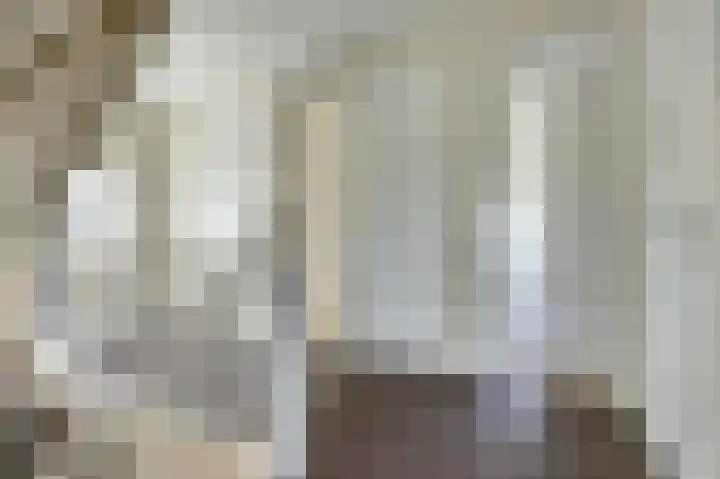 Dille 3 Heerhugowaard thumbnail 37