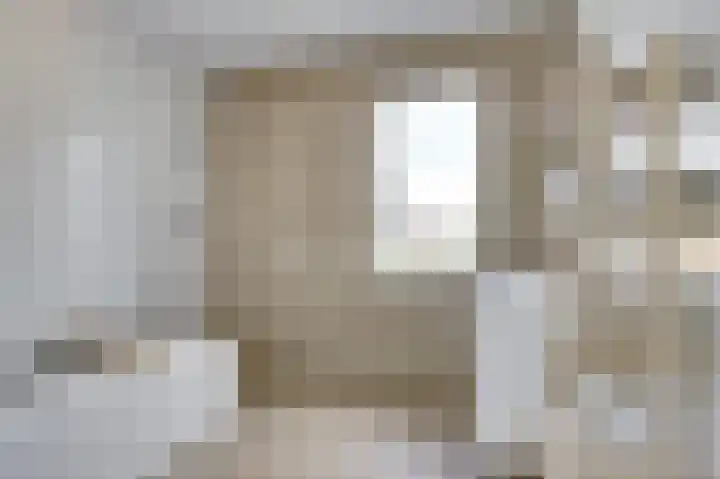 Dille 3 Heerhugowaard thumbnail 38