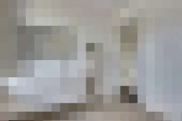 Dille 3 Heerhugowaard thumbnail 39