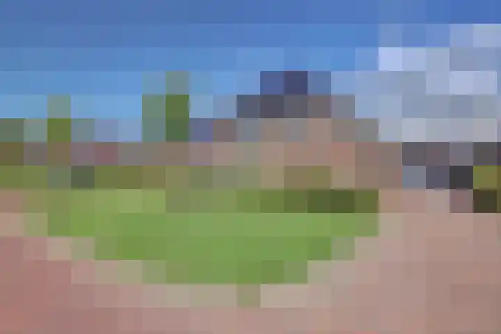 Dille 3 Heerhugowaard thumbnail 4