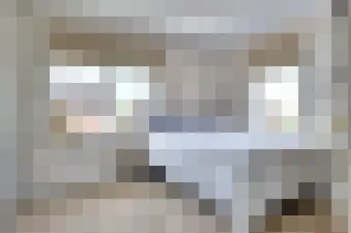 Dille 3 Heerhugowaard thumbnail 40