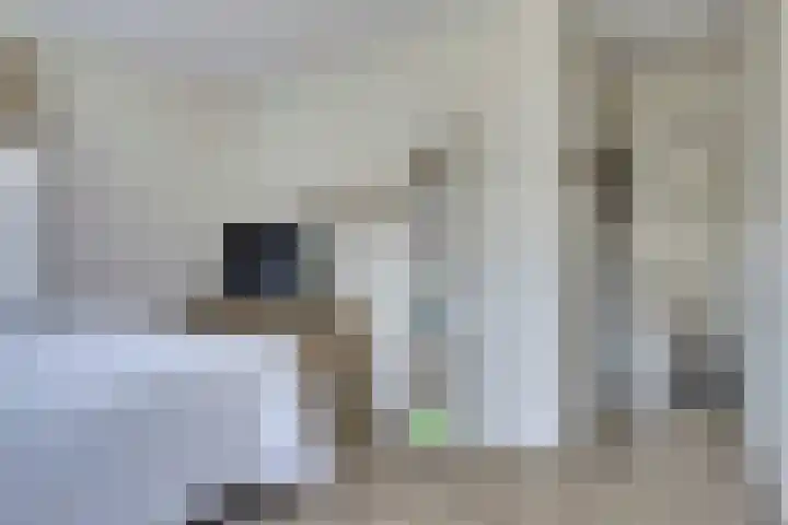 Dille 3 Heerhugowaard thumbnail 41