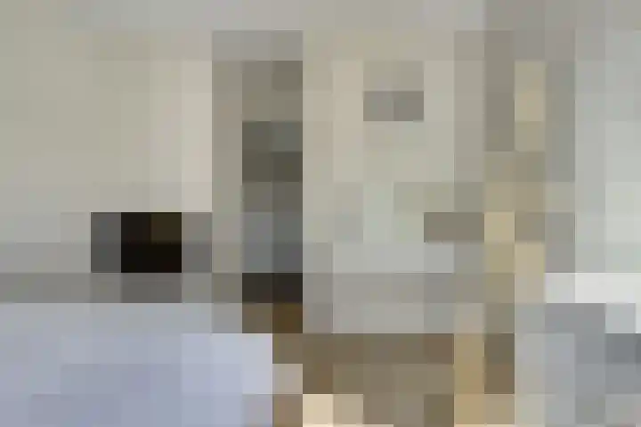 Dille 3 Heerhugowaard thumbnail 43