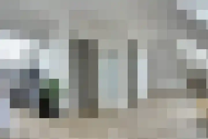 Dille 3 Heerhugowaard thumbnail 45