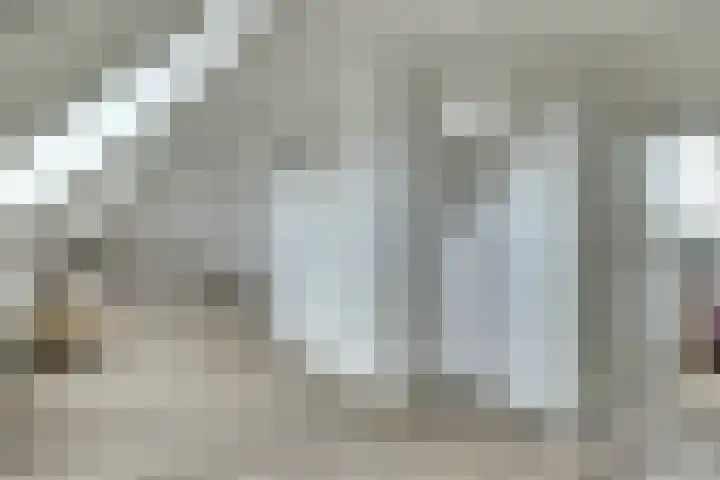 Dille 3 Heerhugowaard thumbnail 46
