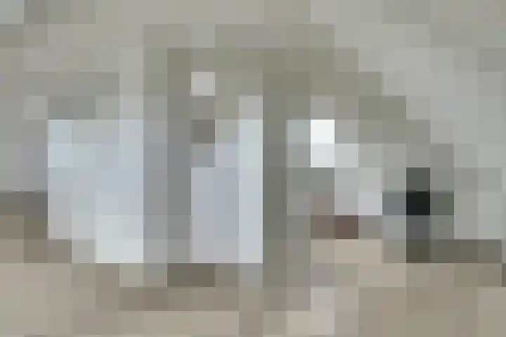 Dille 3 Heerhugowaard thumbnail 47