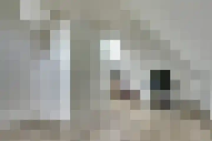 Dille 3 Heerhugowaard thumbnail 48