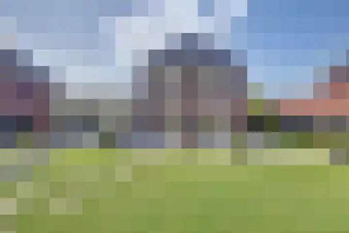 Dille 3 Heerhugowaard thumbnail 52