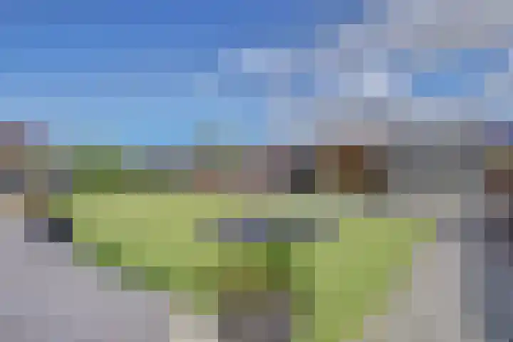 Dille 3 Heerhugowaard thumbnail 54