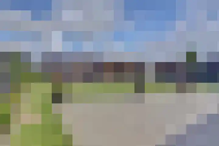 Dille 3 Heerhugowaard thumbnail 56