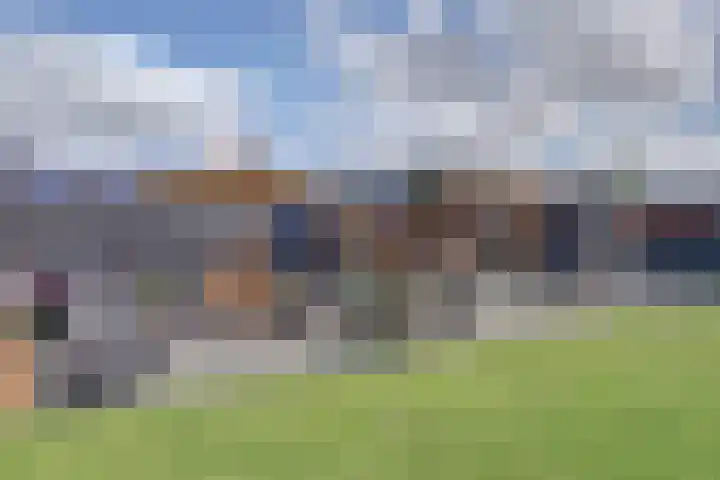 Dille 3 Heerhugowaard thumbnail 58