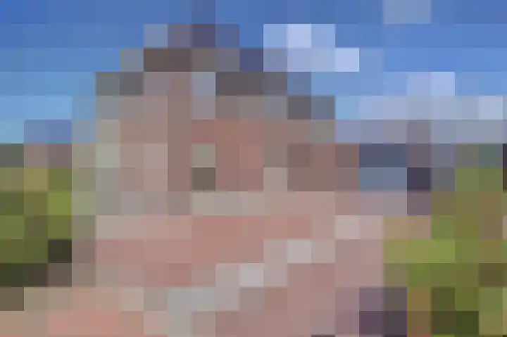 Dille 3 Heerhugowaard thumbnail 6