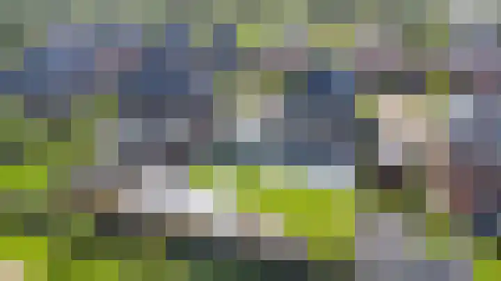 Dille 3 Heerhugowaard thumbnail 63