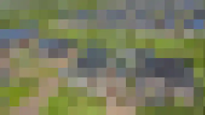 Dille 3 Heerhugowaard thumbnail 64