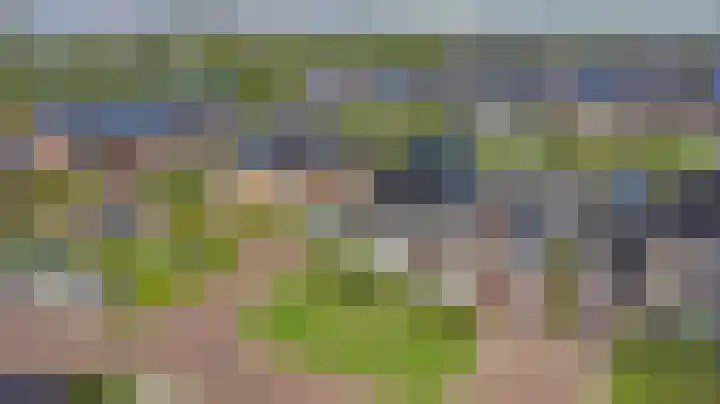 Dille 3 Heerhugowaard thumbnail 65