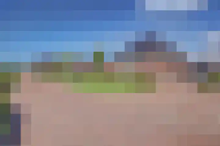 Dille 3 Heerhugowaard thumbnail 67