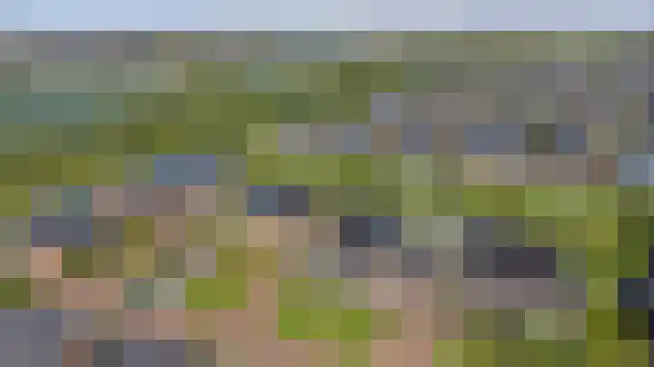 Dille 3 Heerhugowaard thumbnail 68