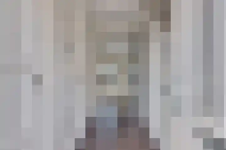 Dille 3 Heerhugowaard thumbnail 7