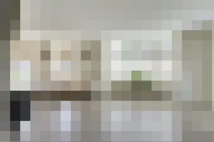 Dille 3 Heerhugowaard thumbnail 9