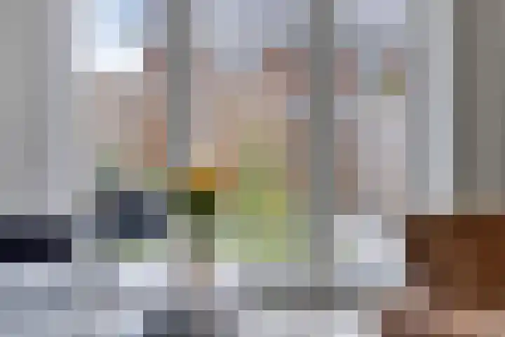 Dille 51 Asten thumbnail 10