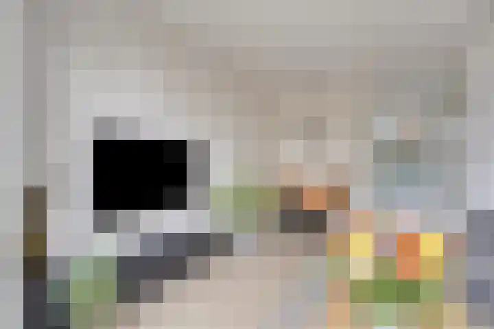 Dille 51 Asten thumbnail 12