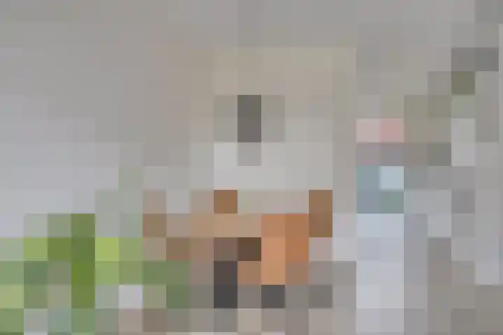 Dille 51 Asten thumbnail 13