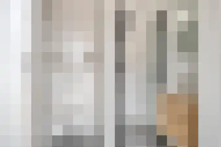 Dille 51 Asten thumbnail 14