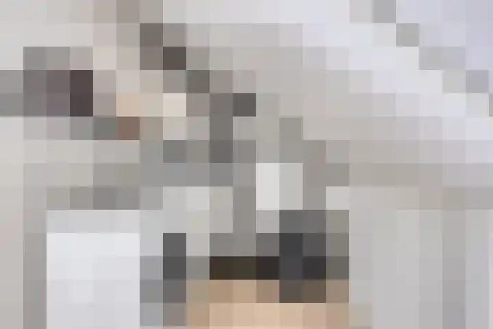 Dille 51 Asten thumbnail 18