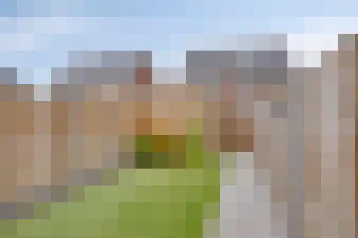Dille 51 Asten thumbnail 19