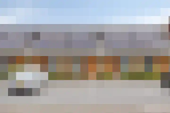 Dille 51 Asten thumbnail 4