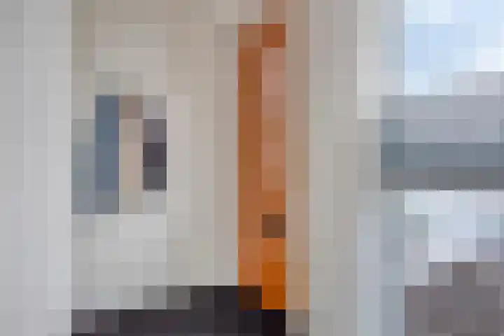 Dille 51 Asten thumbnail 5