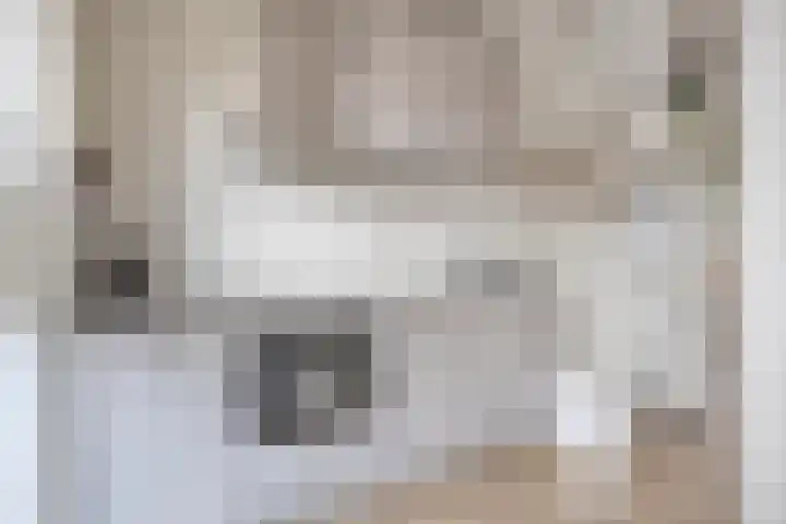 Dille 51 Asten thumbnail 7