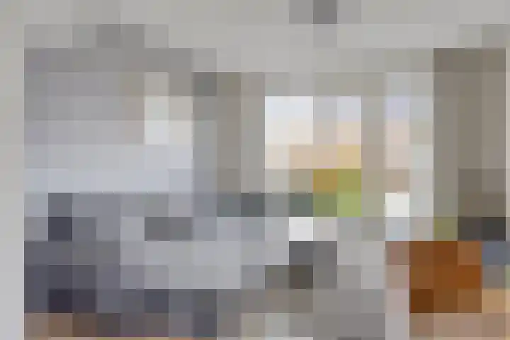 Dille 51 Asten thumbnail 9