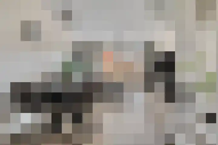 Dille 58 Asten thumbnail 12