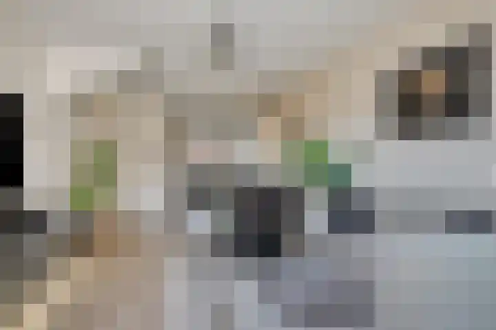 Dille 58 Asten thumbnail 13