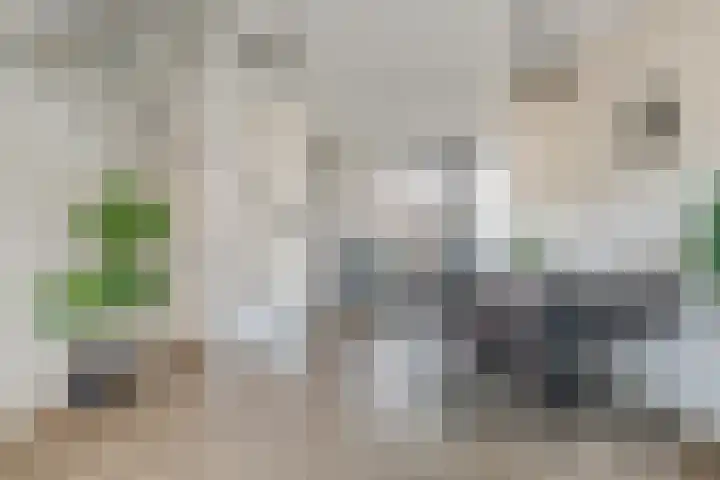 Dille 58 Asten thumbnail 16