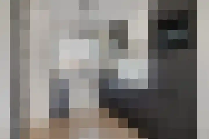 Dille 58 Asten thumbnail 20