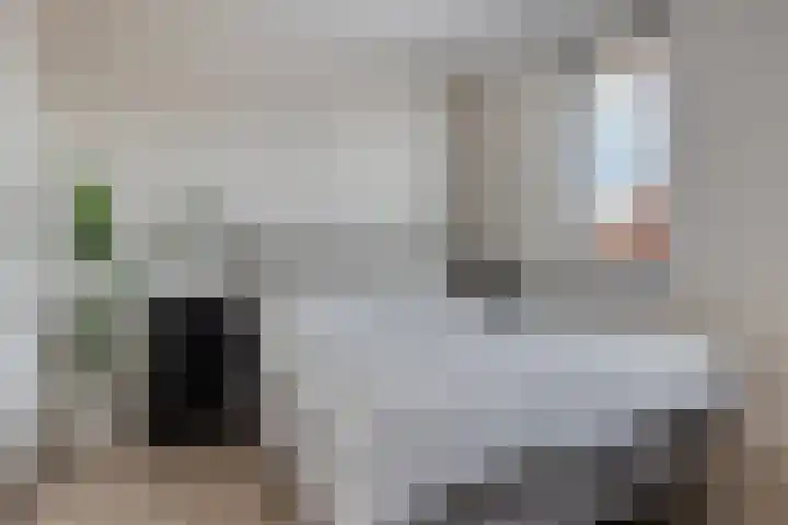 Dille 58 Asten thumbnail 23