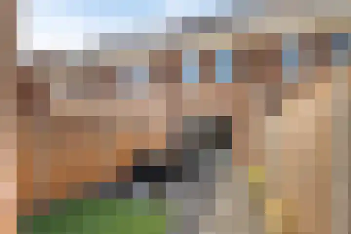 Dille 58 Asten thumbnail 33