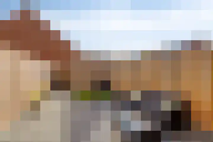 Dille 58 Asten thumbnail 34