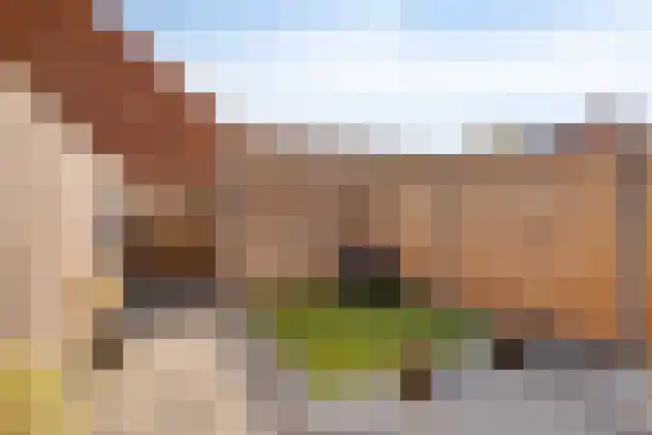 Dille 58 Asten thumbnail 36