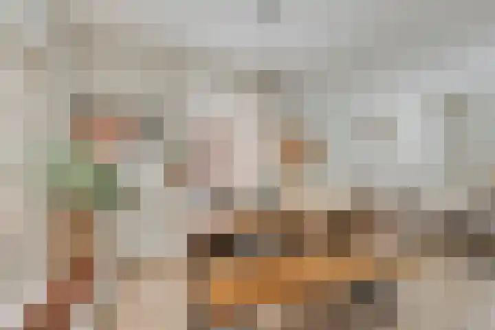 Dille 58 Asten thumbnail 44
