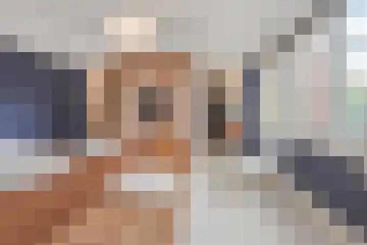 Dille 58 Asten thumbnail 5