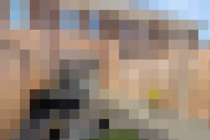 Dille 58 Asten thumbnail 6