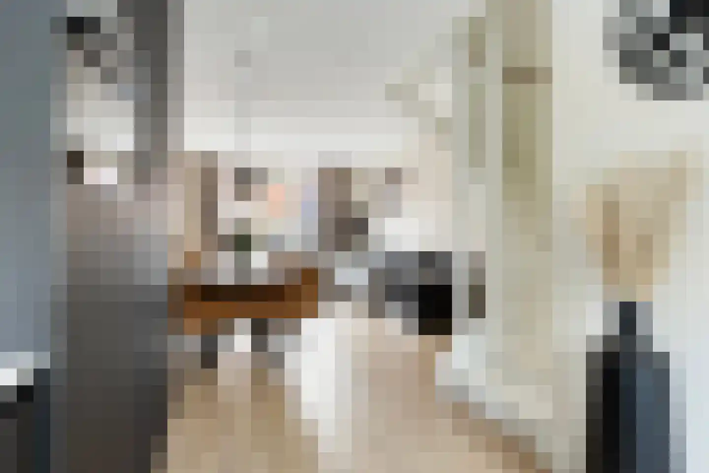 Dille 60 Asten thumbnail 13